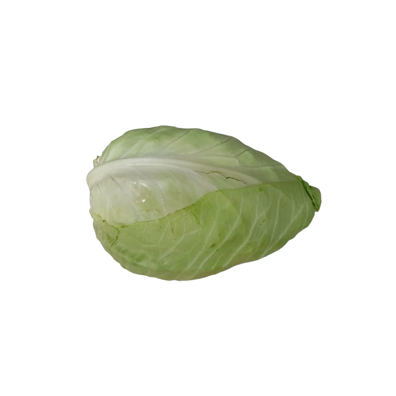 GREEN Beaked Cabbage Piece Organic 